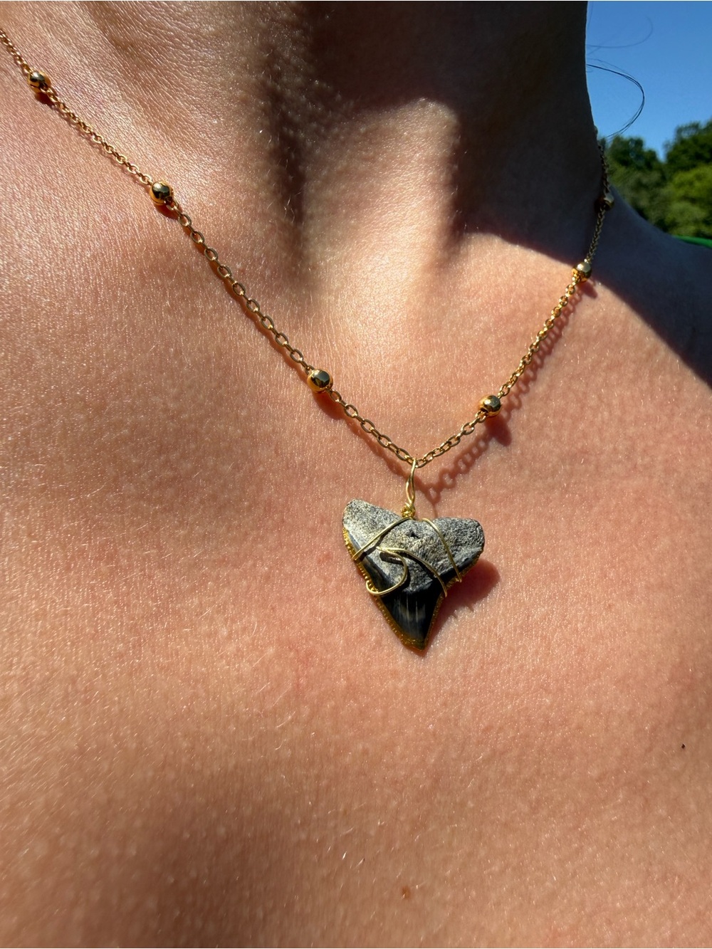 Handmade Gold Dipped Wave Wire Wrapped Shark Tooth Necklace
